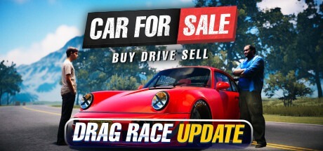Simulador de coches en venta